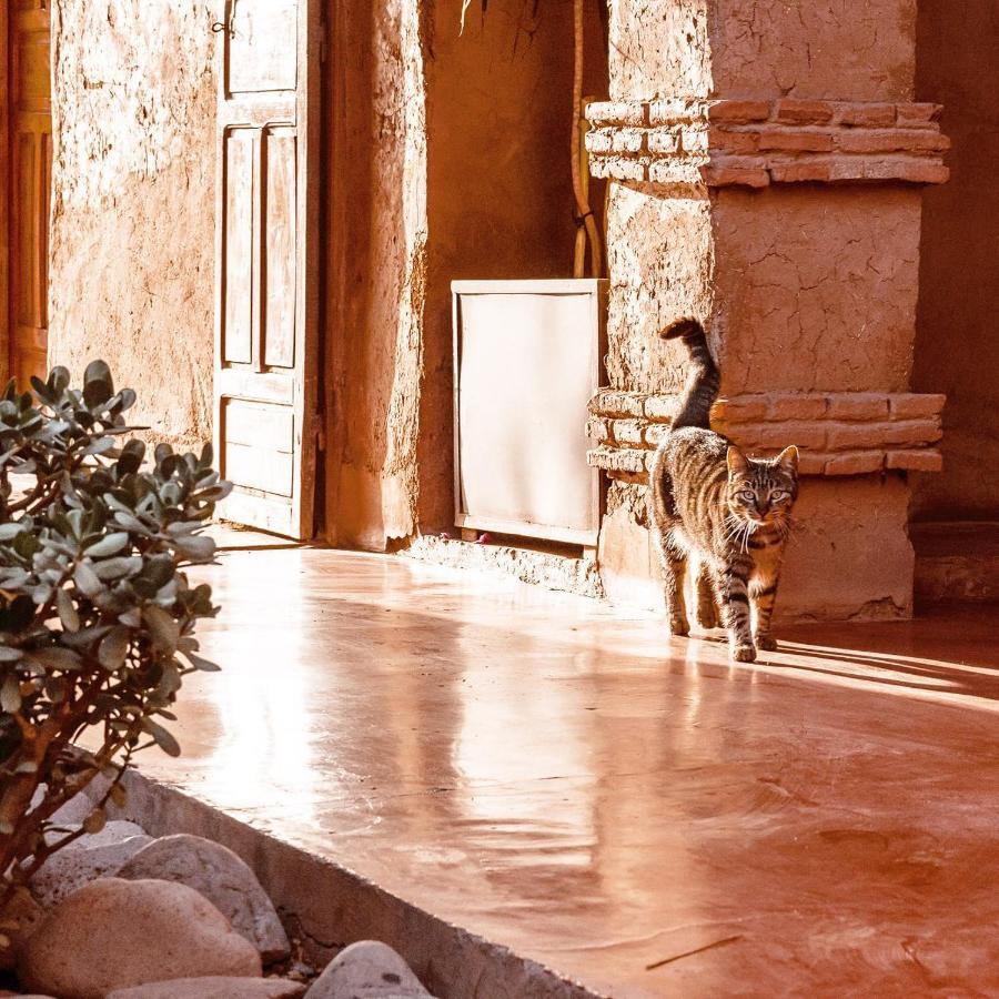 La Ferme Berbere Adult Only Bed & Breakfast El Harkat Dış mekan fotoğraf
