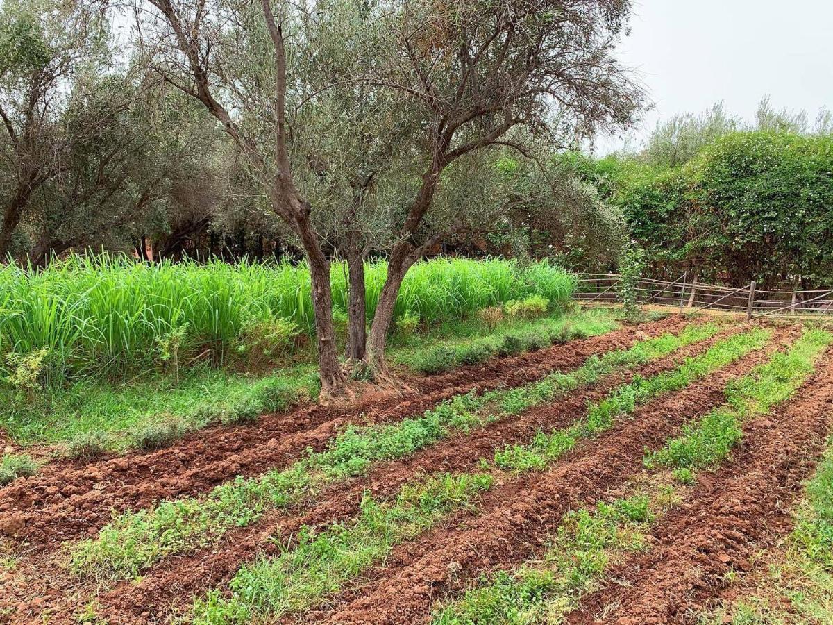 La Ferme Berbere Adult Only Bed & Breakfast El Harkat Dış mekan fotoğraf