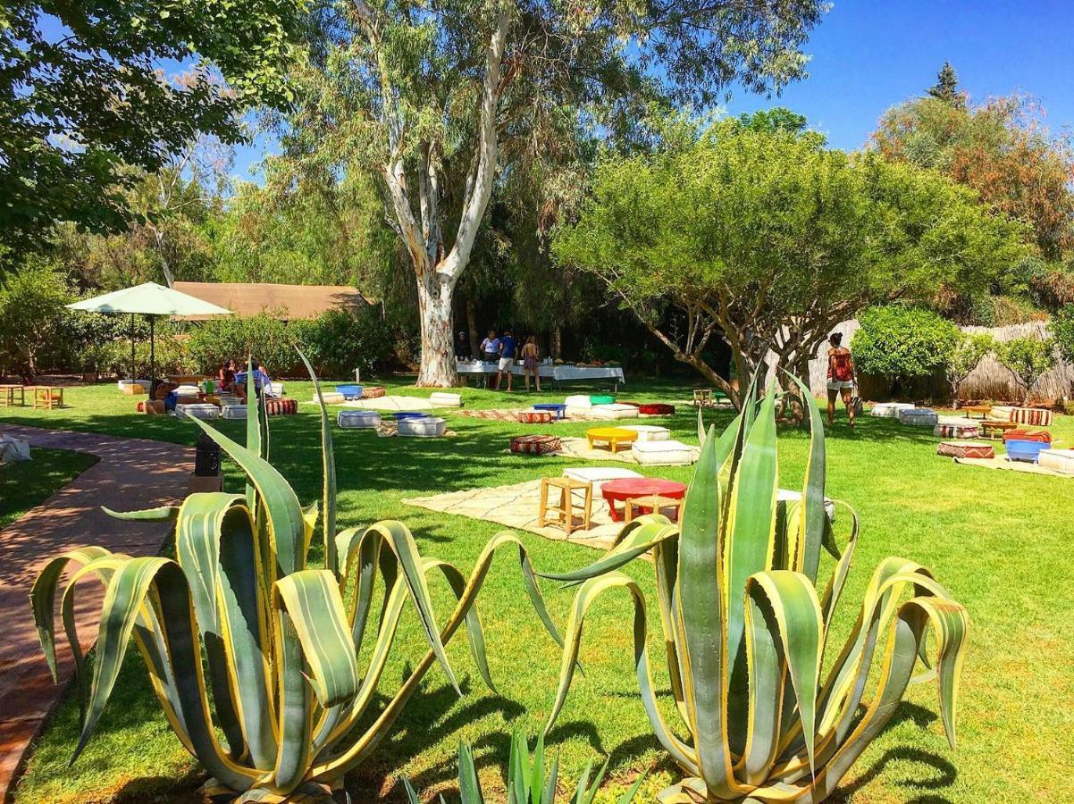 La Ferme Berbere Adult Only Bed & Breakfast El Harkat Dış mekan fotoğraf