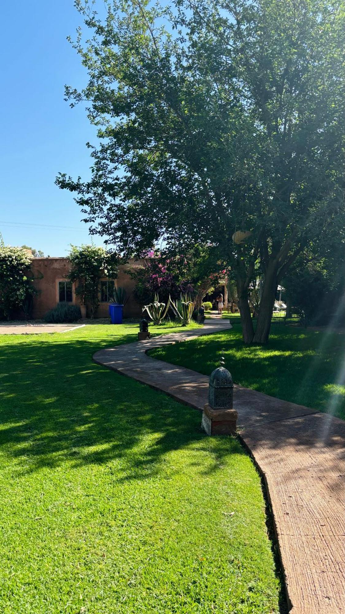 La Ferme Berbere Adult Only Bed & Breakfast El Harkat Dış mekan fotoğraf