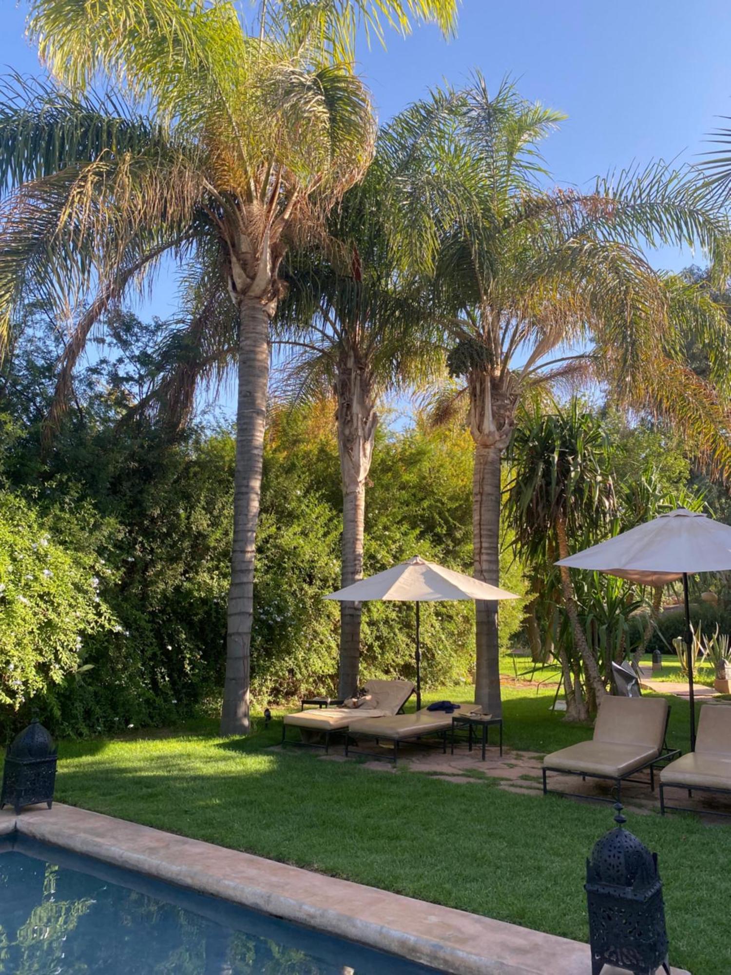 La Ferme Berbere Adult Only Bed & Breakfast El Harkat Dış mekan fotoğraf